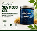 Organic Wildcrafted Sea Moss Gel | Sanctified 16 oz