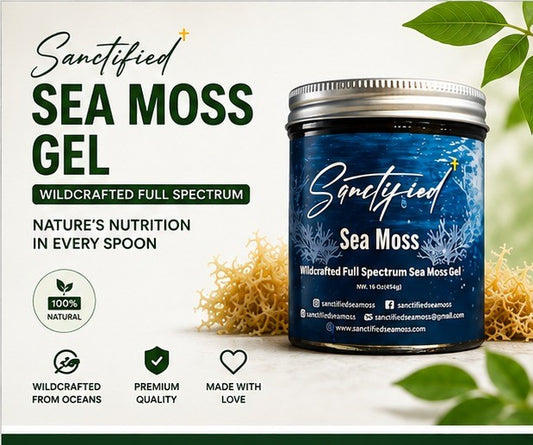 Organic Wildcrafted Sea Moss Gel | Sanctified 16 oz