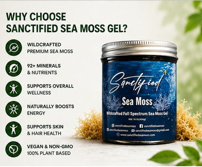 Organic Wildcrafted Sea Moss Gel | Sanctified 16 oz