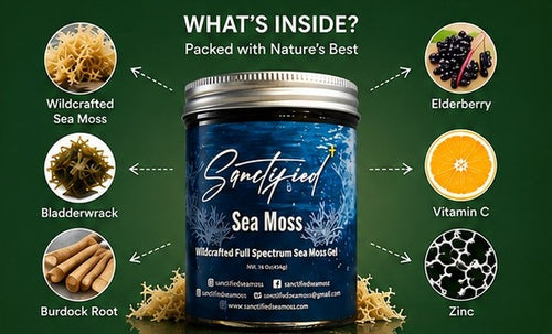 Organic Wildcrafted Sea Moss Gel | Sanctified 16 oz