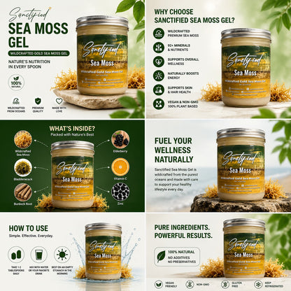 Natural Wildcrafted Gold Sea Moss Gel | Premium 16 oz Jar