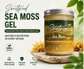 Natural Wildcrafted Gold Sea Moss Gel | Premium 16 oz Jar