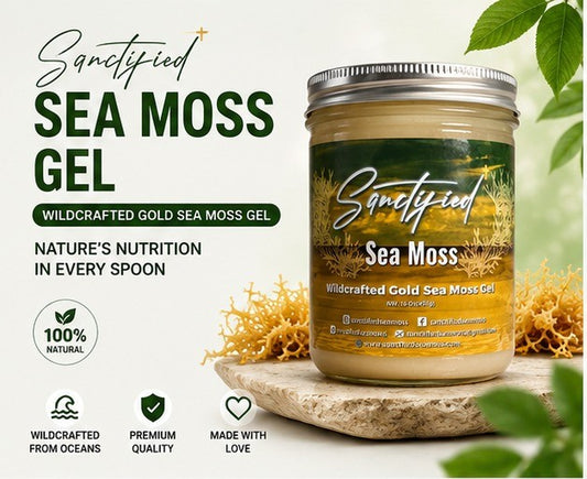 Natural Wildcrafted Gold Sea Moss Gel | Premium 16 oz Jar