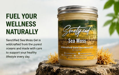 Natural Wildcrafted Gold Sea Moss Gel | Premium 16 oz Jar